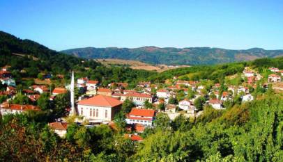 رحلة إلى يلوا