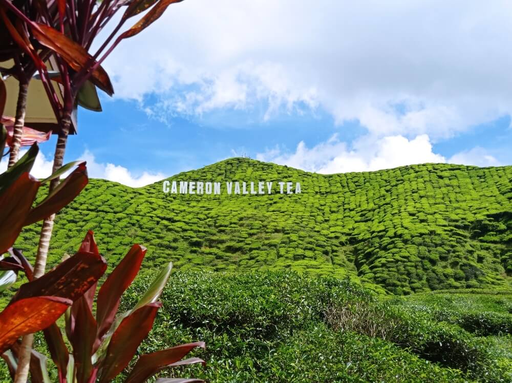 السياحة في ماليزيا